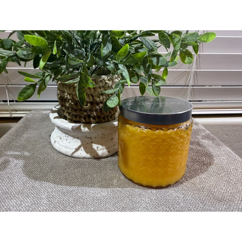 Gold Canyon Candles Med 16oz Juicy Melon Highly Scented Candle  Hard to Find